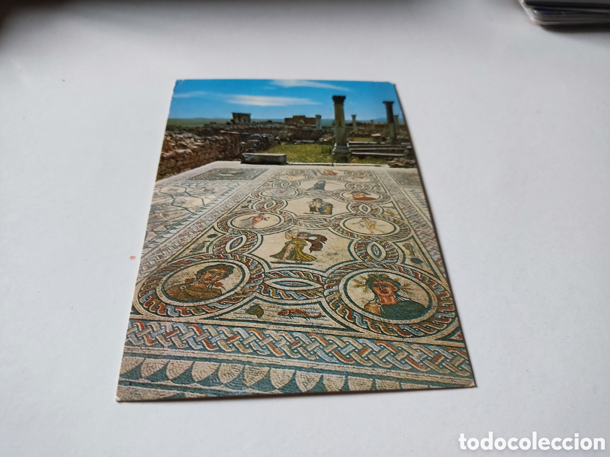 Postales: Postal volubilis mosaico - Foto 1