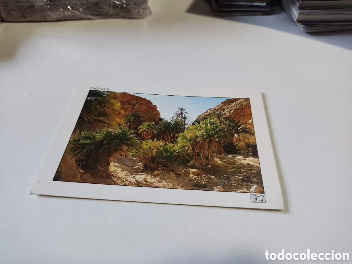 Postales: Postal Chebika - Foto 1