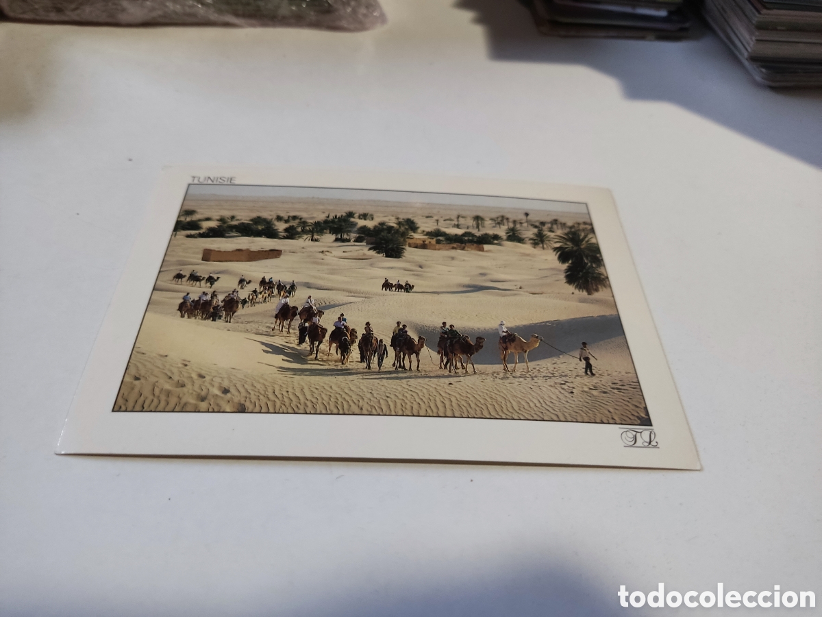 Postales: Postal camellos T&uacute;nez - Foto 1