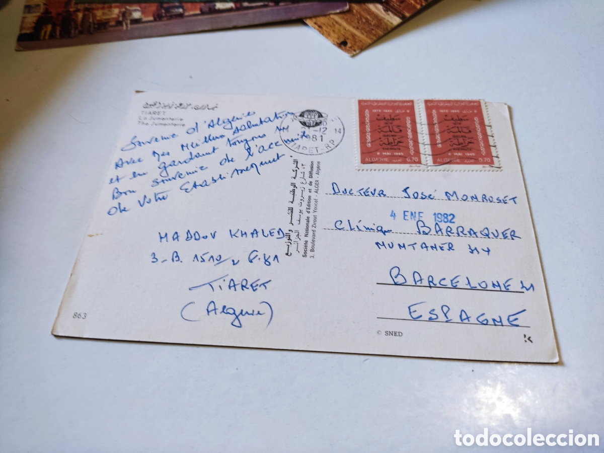 Postales: Postal Argelia caballo - Foto 2