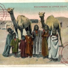 Postales: EGIPTO EGYPTE. BICHAREENS IN UPPER EGYPT