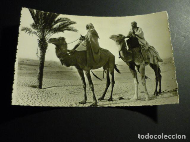 Postales: ESCENAS Y TIPOS MARRUECOS POSTAL - Foto 1