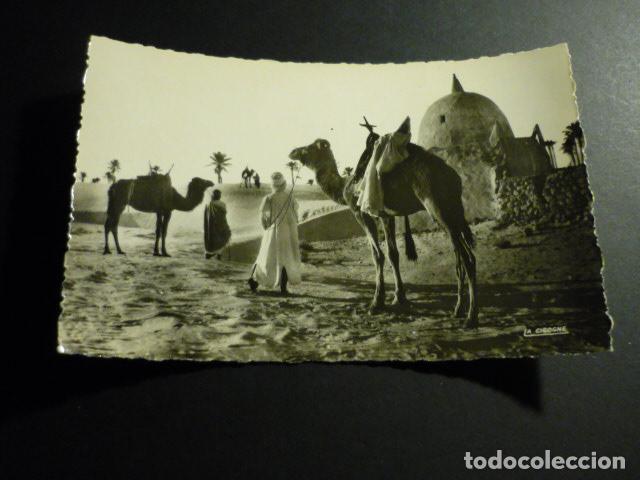 Postales: ESCENAS Y TIPOS MARRUECOS POSTAL - Foto 1