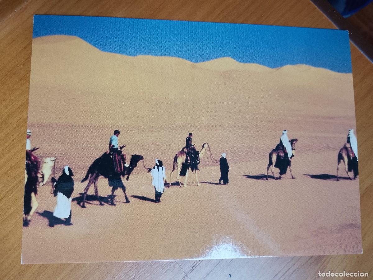 Postales: POSTAL, LIBIA, CARAVANA. - Foto 1