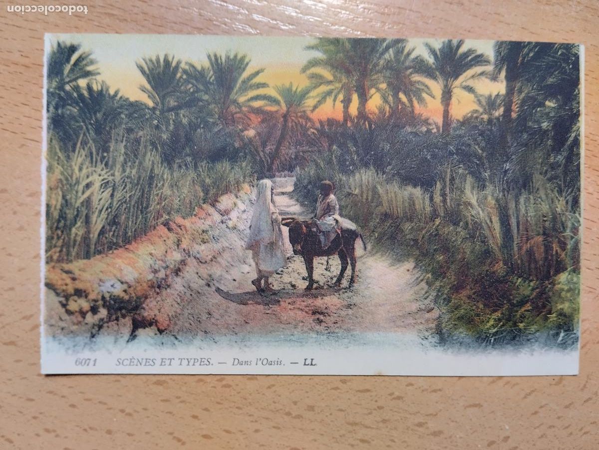 Postales: ALGER ESCENAS TIPOS. DANS LOASIS. ALGERIA. - Foto 1