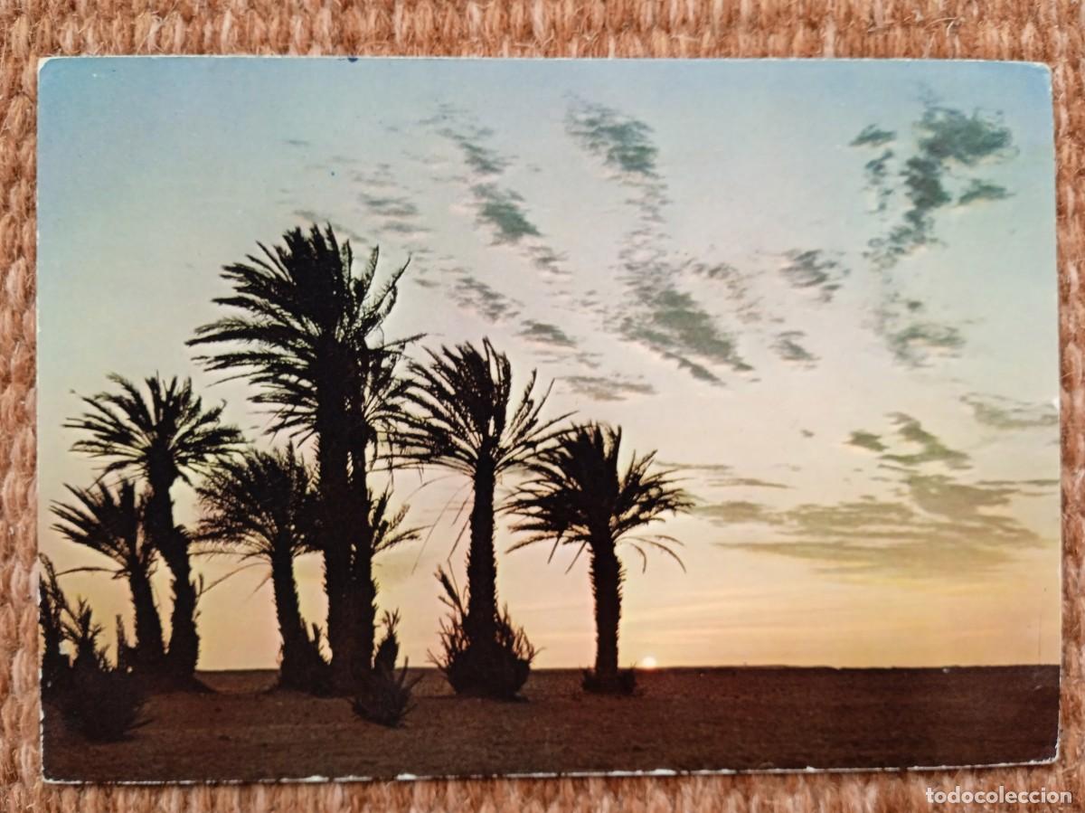 Postales: SAHARA - SMARA - Foto 1
