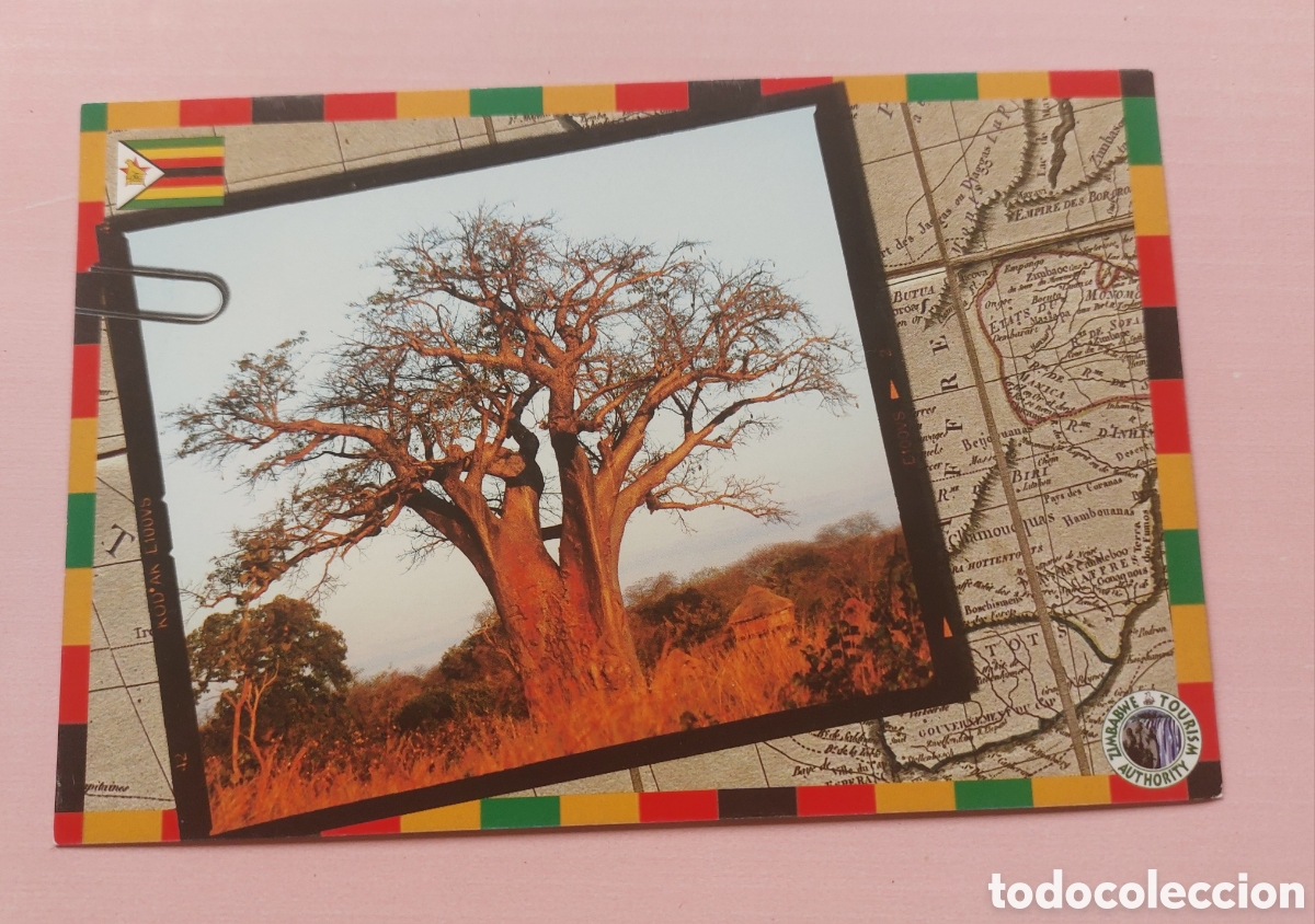Postales: Postal Zimbawe Africa - Foto 1