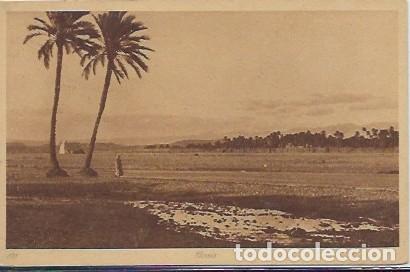 Postales: MARRUECOS - OASIS - EDITOR L & L - Foto 1