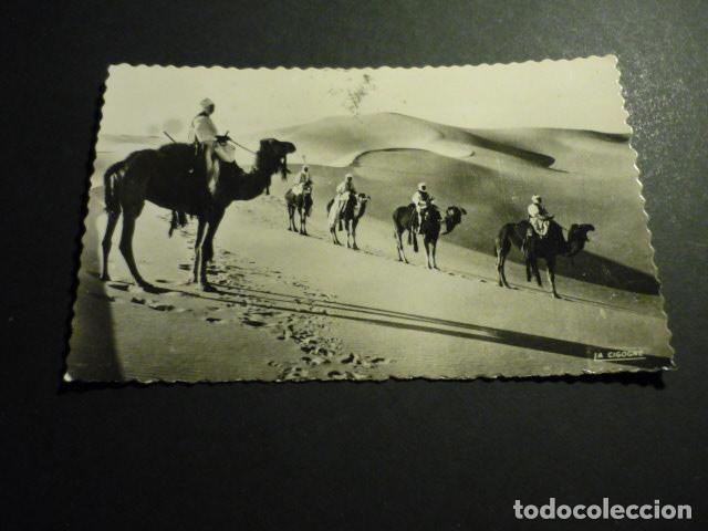Postales: MARRUECOS EN EL DESIERTO POSTAL - Foto 1