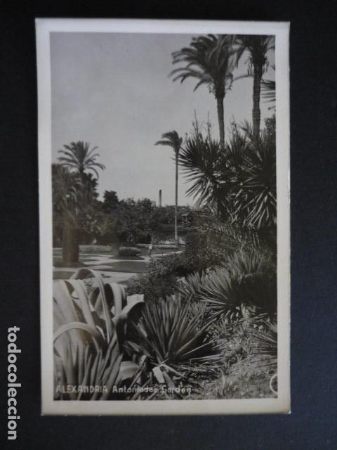 Postales: ALEJANDRIA EGIPTO POSTAL - Foto 1
