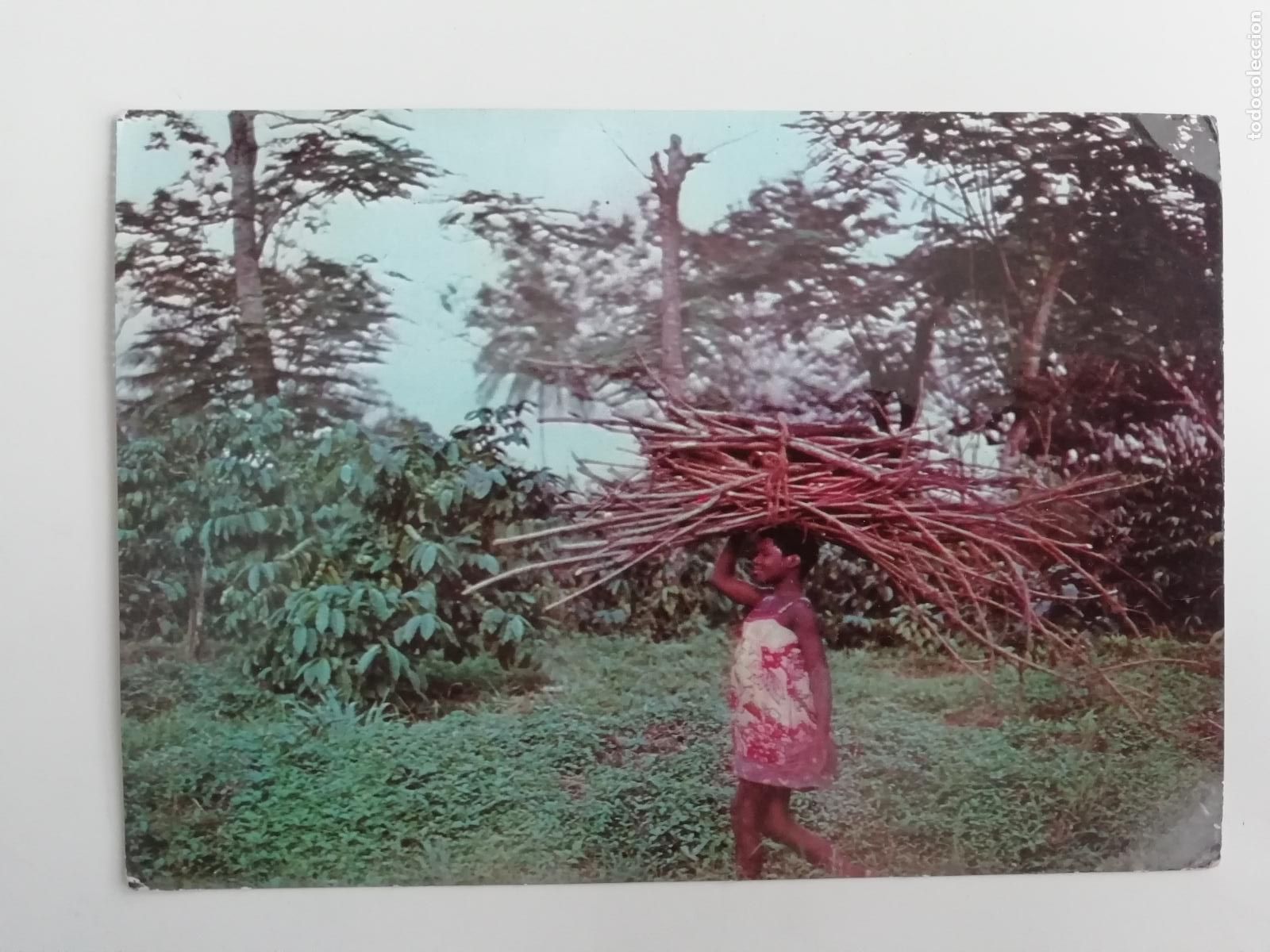 Postales: Postal Guinea Ecuatorial Escena de colonialismo Franqueada sello Fernando Poo y Rep&uacute;blica FNMT