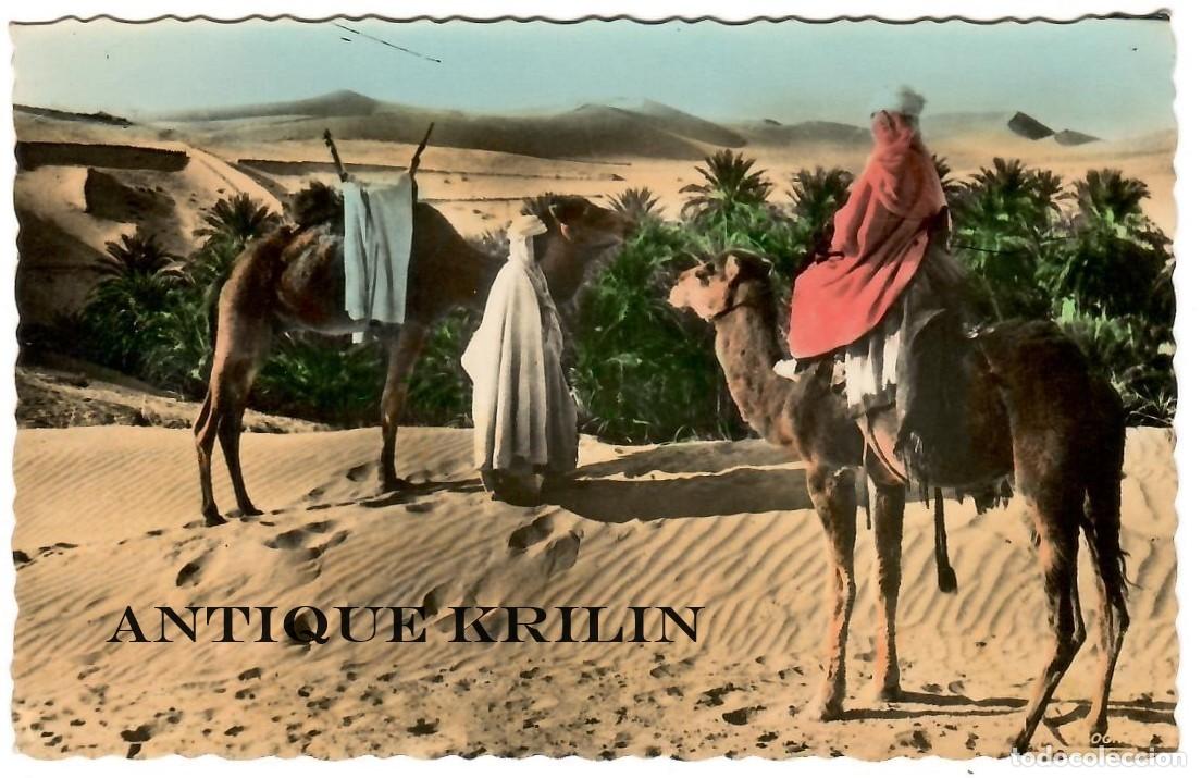 Postales: POSTAL ESCENAS DEL SAHARA N&ordm; 1 - Foto 1