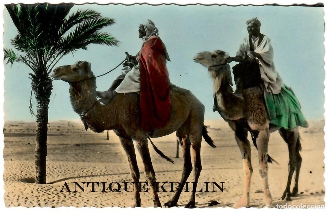Postales: POSTAL ESCENAS DEL SAHARA N&ordm; 2 - Foto 1