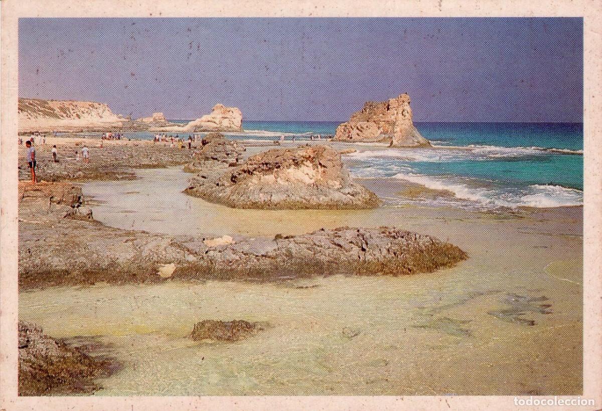 Postales: EGIPTO. 3 POSTALES DIFERENTES. (056) - Foto 2