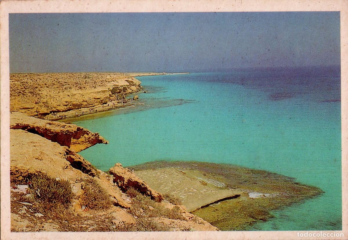 Postales: EGIPTO. 3 POSTALES DIFERENTES. (056) - Foto 3