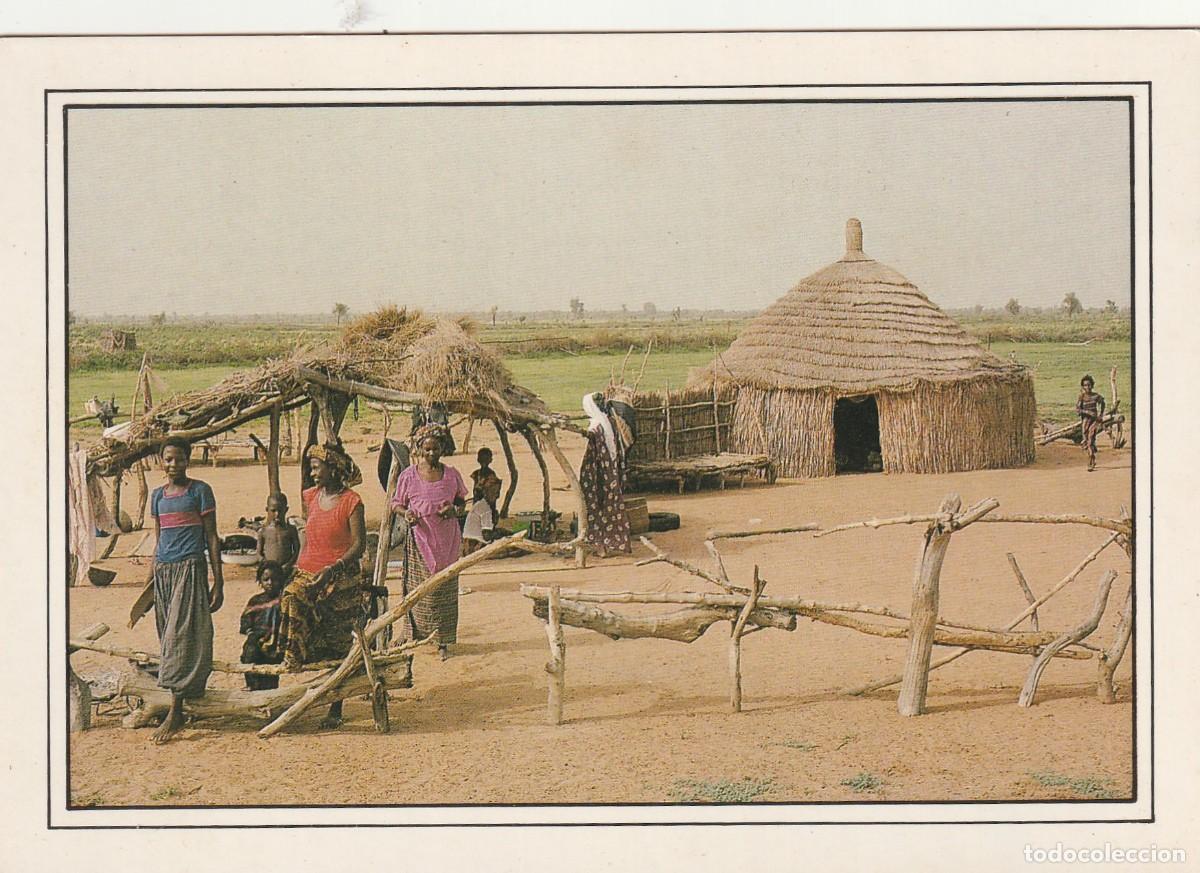 Postales: SENEGAL. 3 POSTALES DIFERENTES. (058) - Foto 3