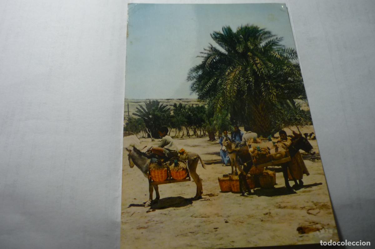 Postales: postal sahara espa&ntilde;ol el aaiun.-circulada cm - Foto 1