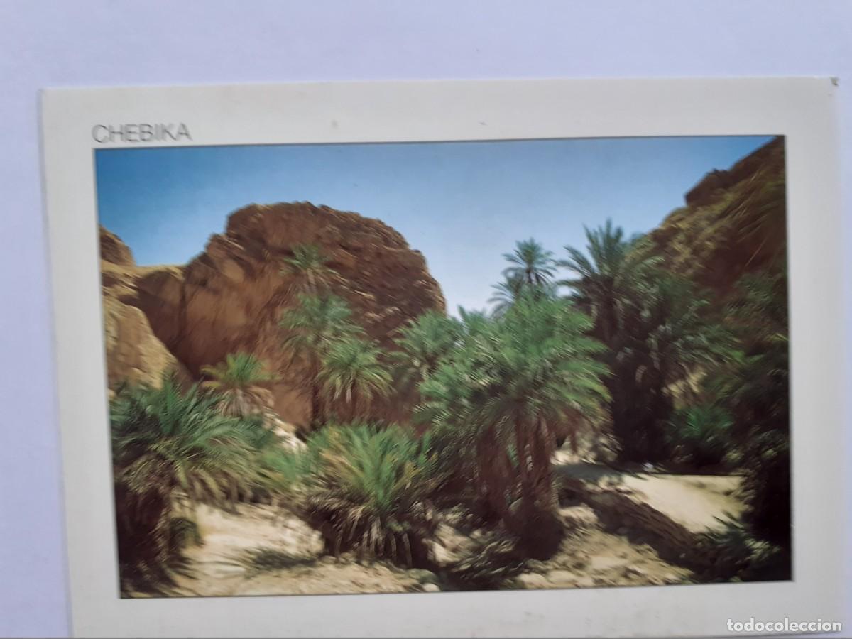 Postales: POSTAL - TUNISIE CHEBIKA - S/C - Foto 1
