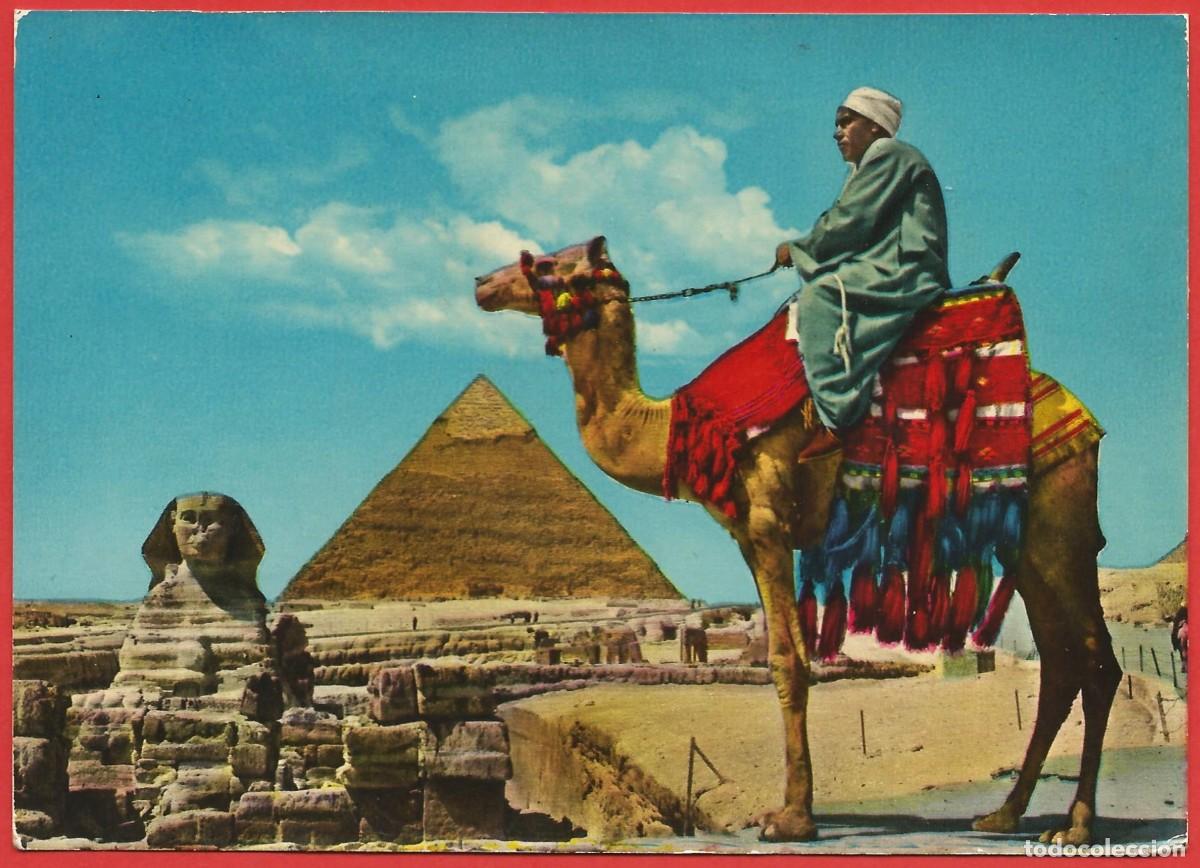 Postales: Egipto : Gran Esfinge y pir&aacute;mide - Camello - Foto 1