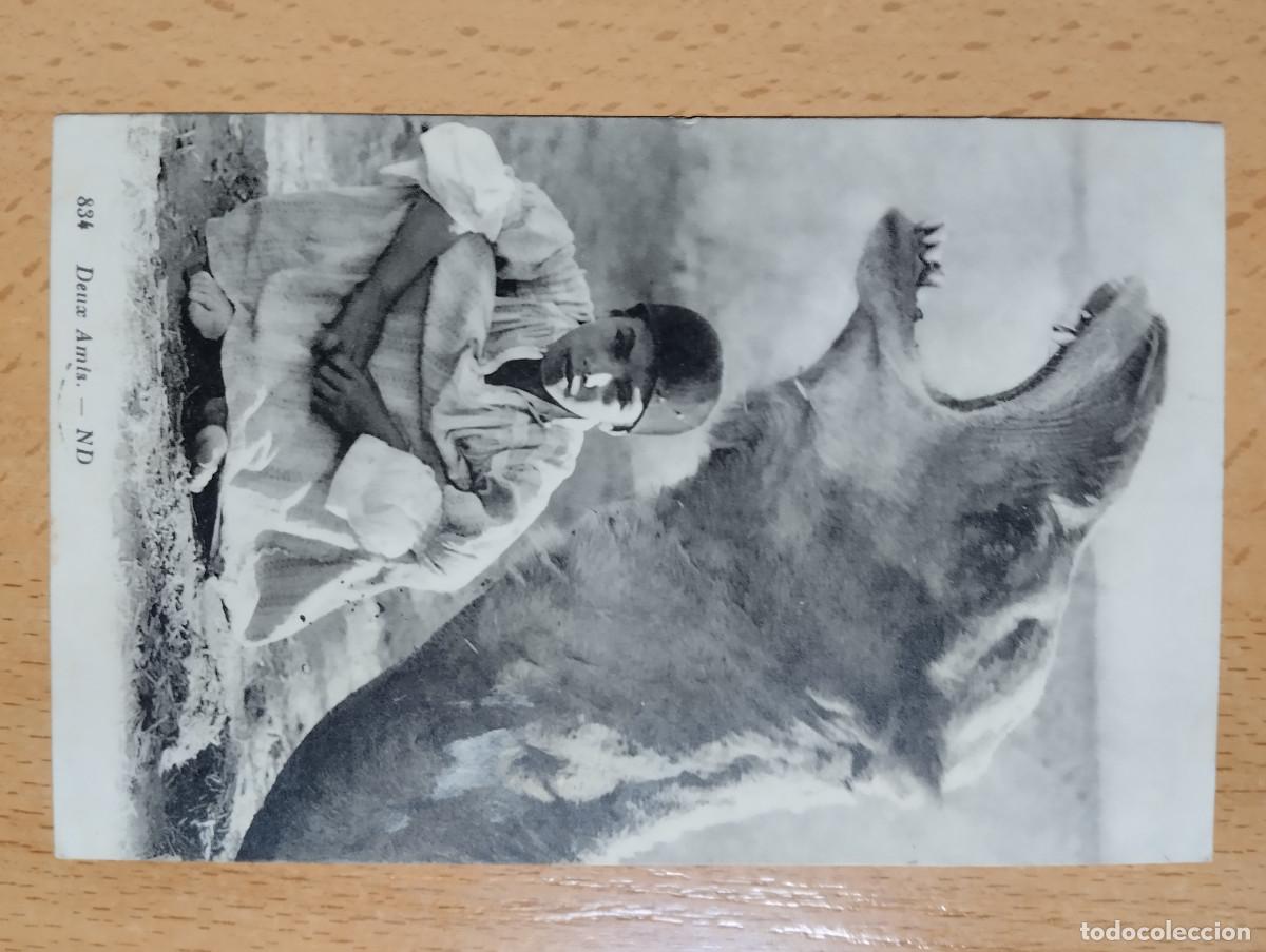 Postales: DEUX AMIS ND. ETNICA. - Foto 1