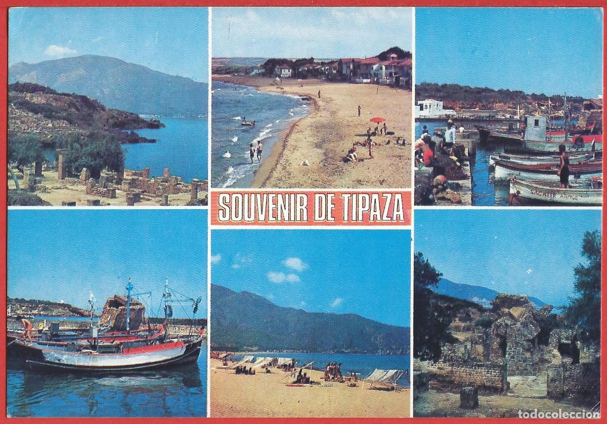 Postales: Argelia - Recuerdo de Tipaza - Foto 1