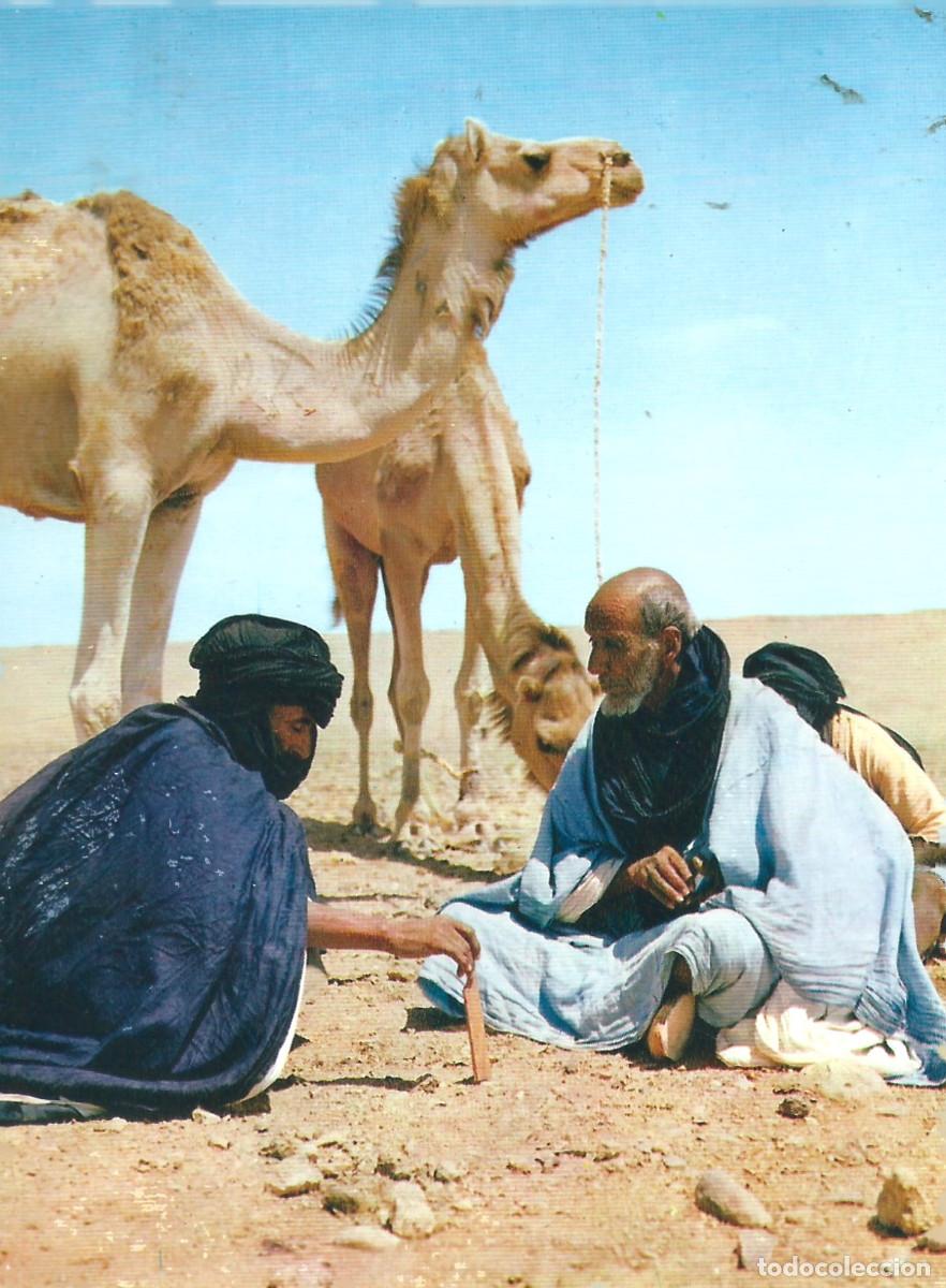 Postales: SAHARA ESPA&Ntilde;OL VENTA DE CAMELLOS - Foto 1
