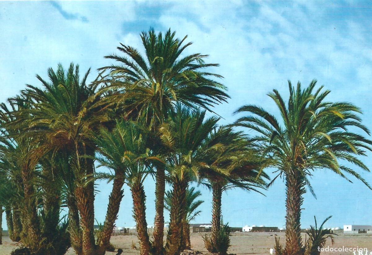 Postales: SAHARA ESPA&Ntilde;OL SMARA - Foto 1