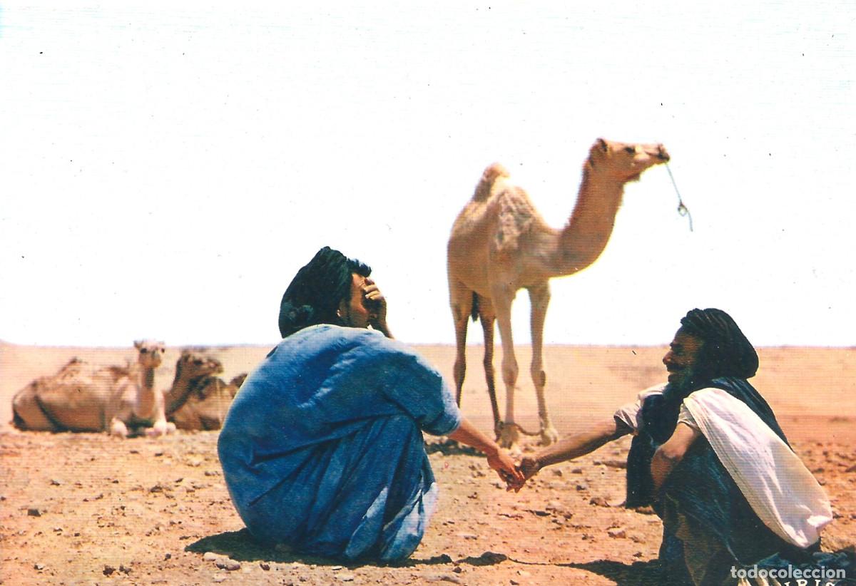 Postales: SAHARA ESPA&Ntilde;OLMERCADO DE CAMELLOS - Foto 1