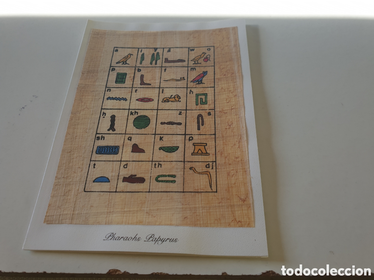 Postales: Postal Egipto papiro - Foto 1
