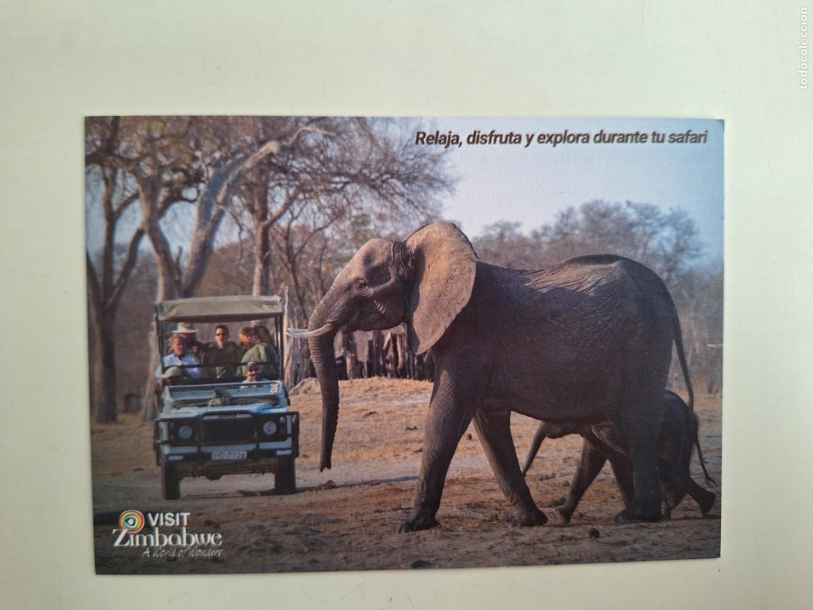 Postales: Postal Visit Zimabwe Turismo Zimbabue Safaris Elefantes