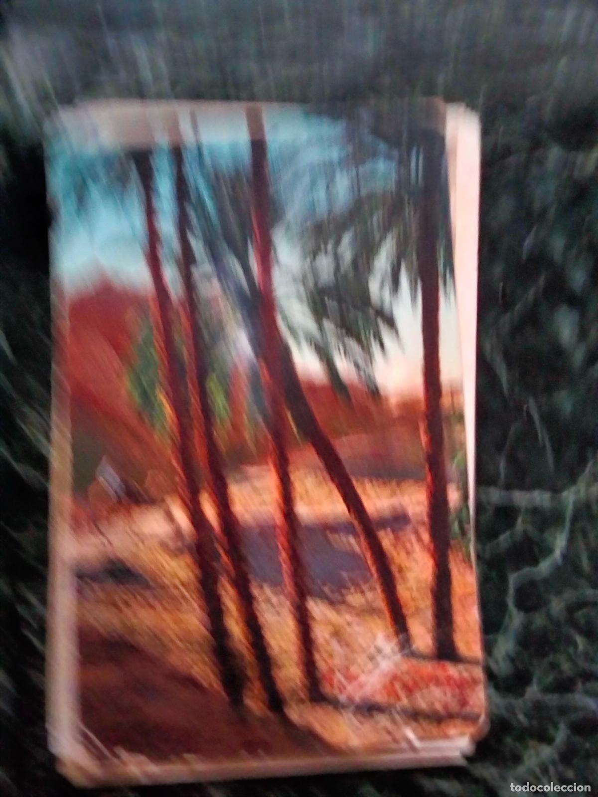 Postales: Postal oasis. Palmeras. - Foto 1