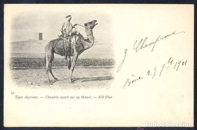 Postais: Argelia. *Types Alg&eacute;riens. Chambba mont&eacute; sur un Mehari* Ed. ND Phot. n&ordm; 32. Circulada 1901.