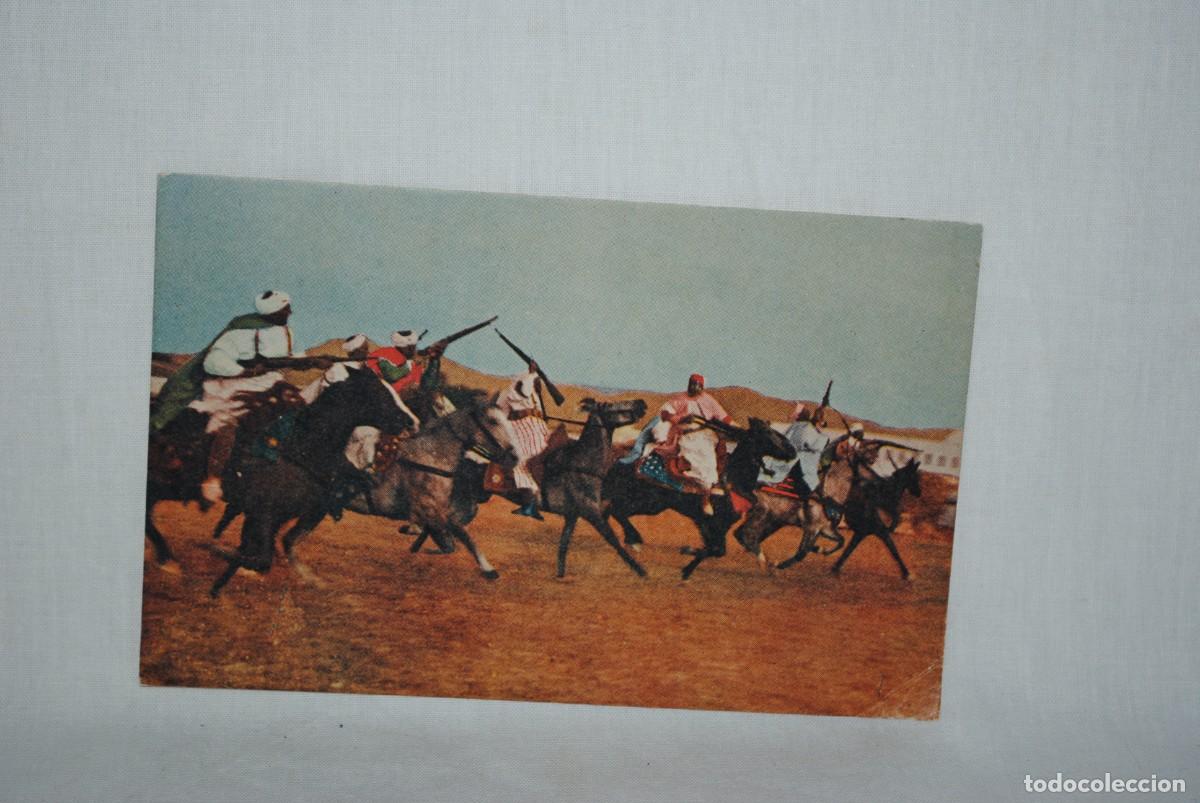 Postales: MARRUECO . CABALGADA , Y TIROS . - Foto 1