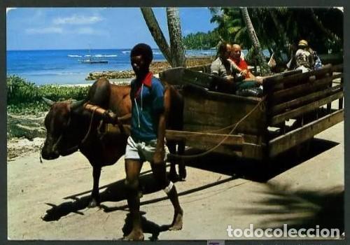 Postales: Seychelles. La Digue. *Ox Cart* Escrita - Foto 1