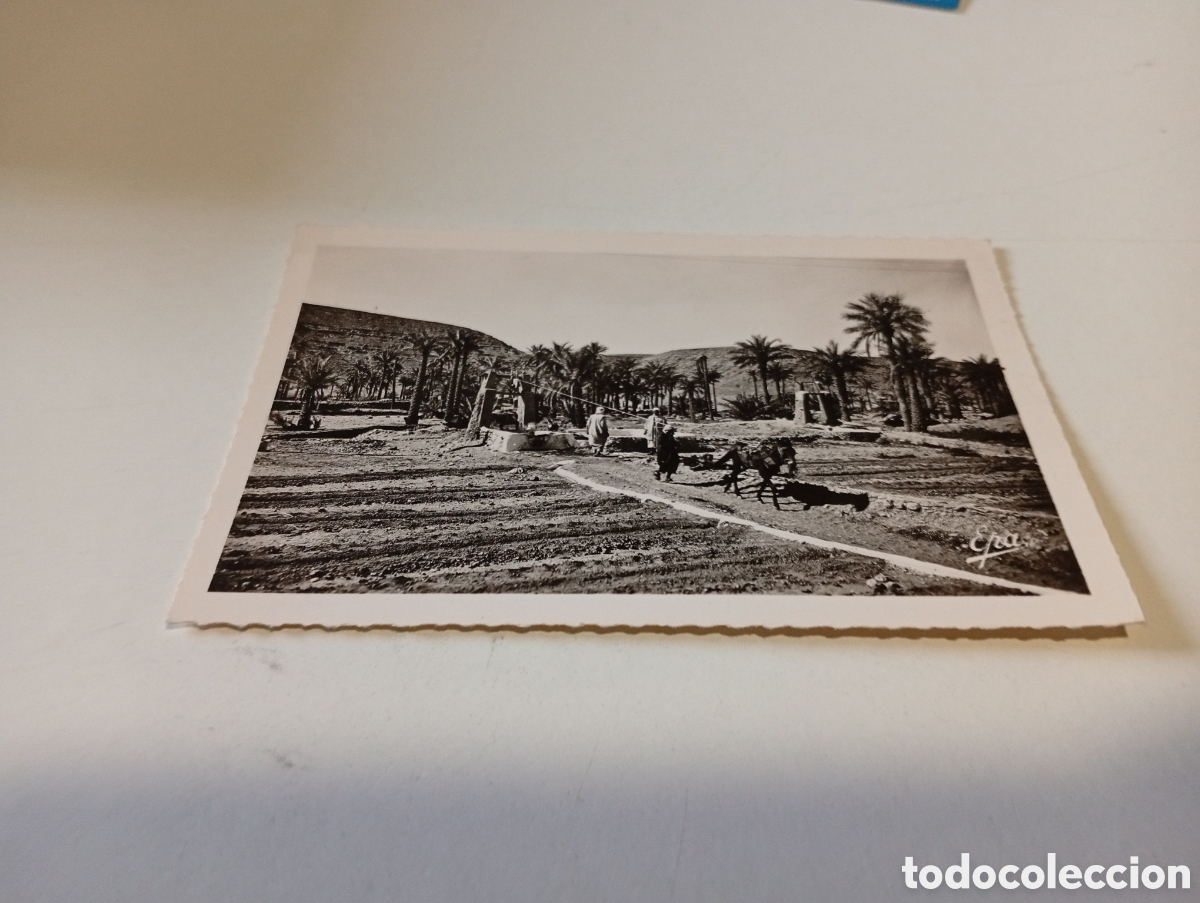 Postales: Postal Argelia Ghardaia