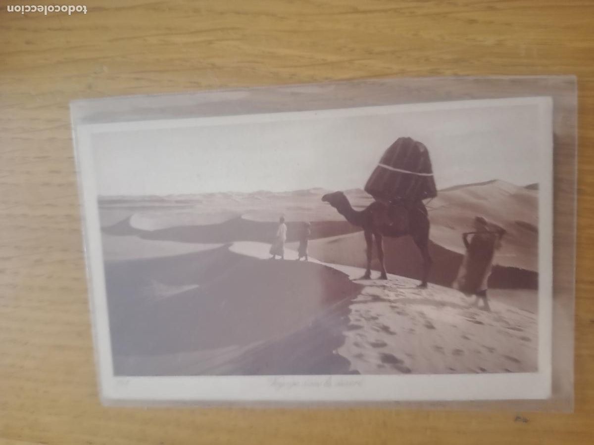 Postkarten: Desierto del Sahara, postal antigua