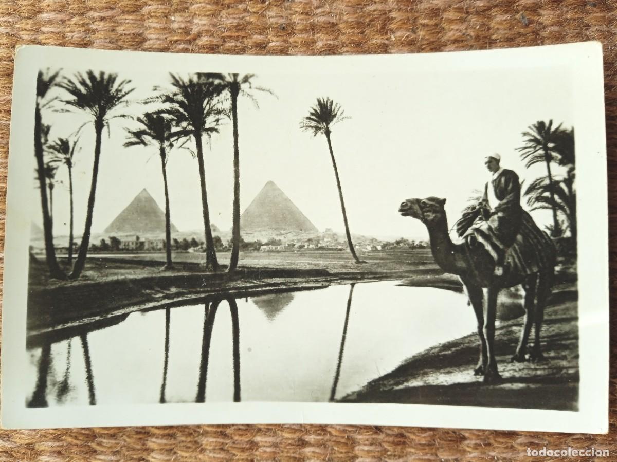 Postales: EGIPTO - EL CAIRO - PIRAMIDES DE GUIZA - Foto 1
