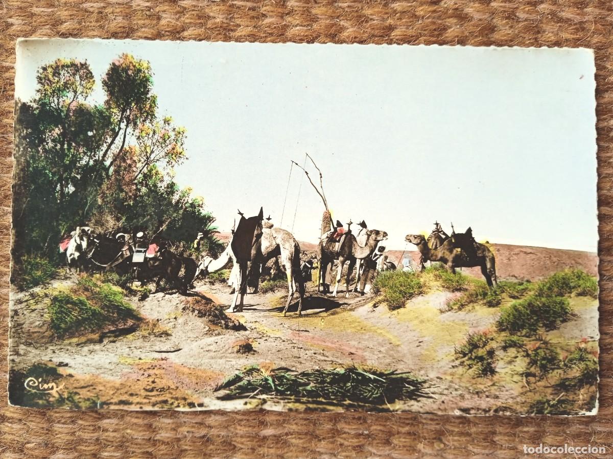 Postales: MARRUECOS - ESCENA - ED. MACON - Foto 1