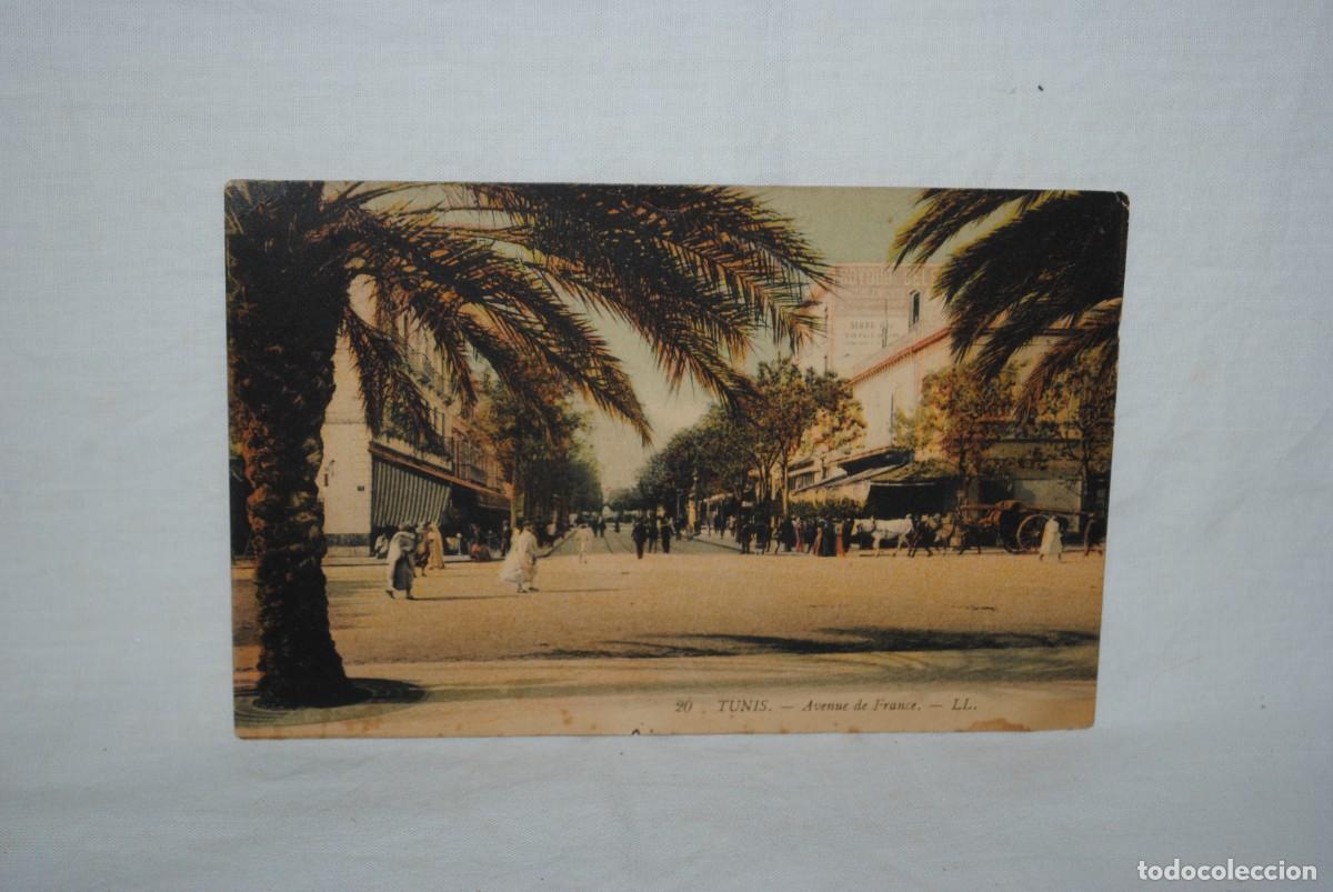 Postales: TUNES , AVENIDA DE FRANCIA . - Foto 1
