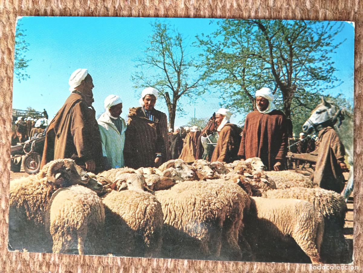 Postales: ARGELIA - SOUGGUEUR - LE SOUK - Foto 1