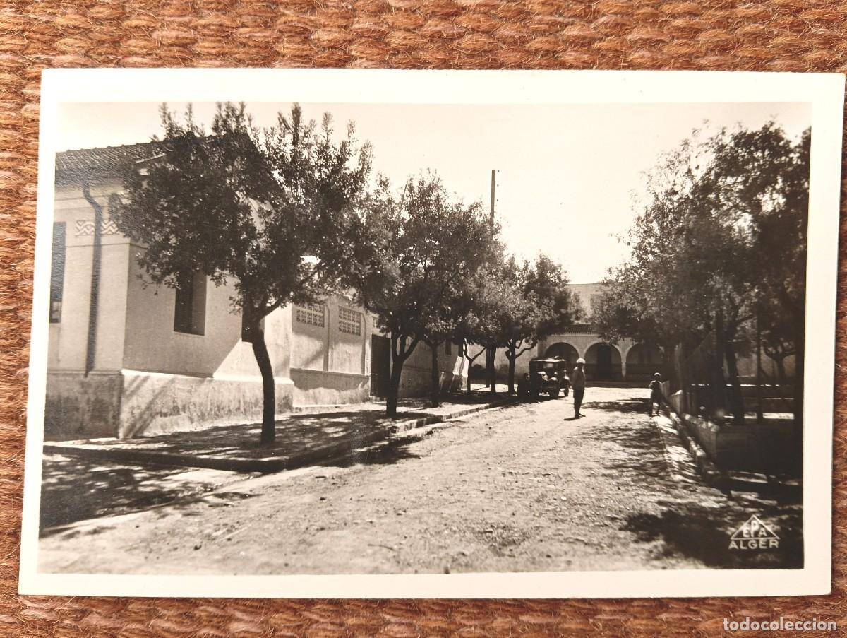 Postales: EL AFFROUN - ARGELIA - LA ESCUELA - Foto 1