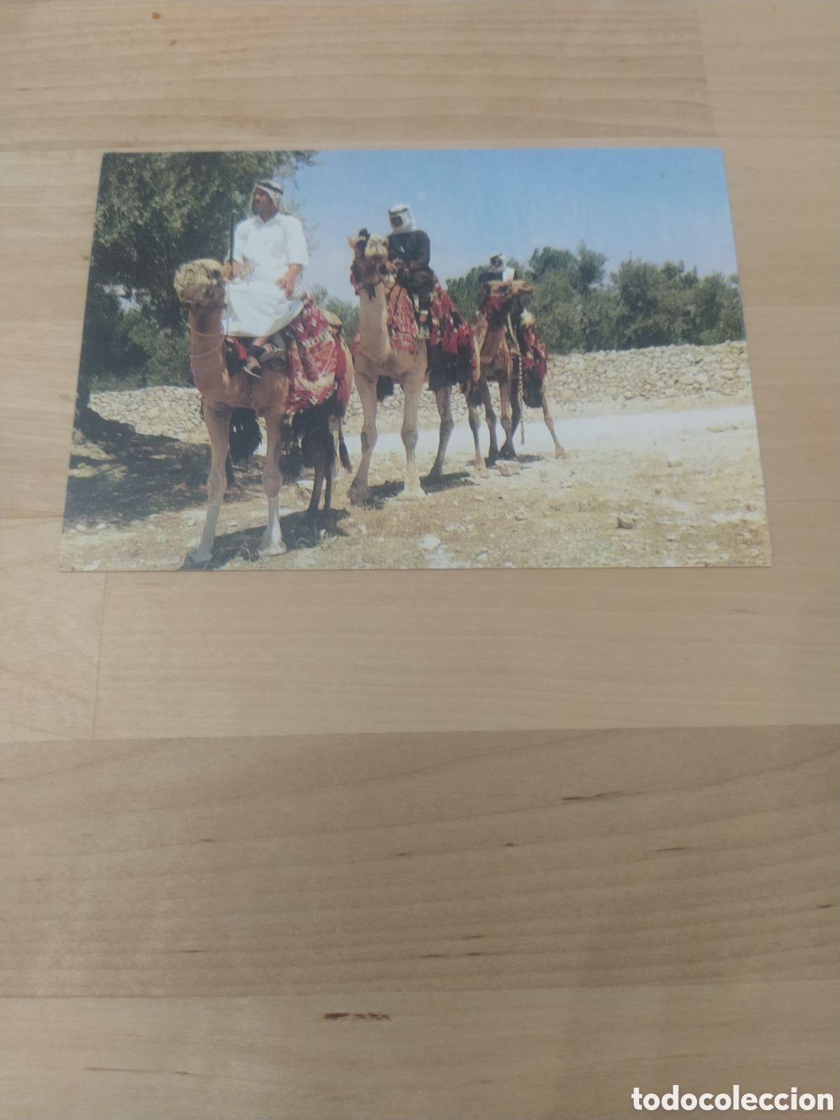 Postales: POSTAL VIAJEROS EN CAMELLO - Foto 1