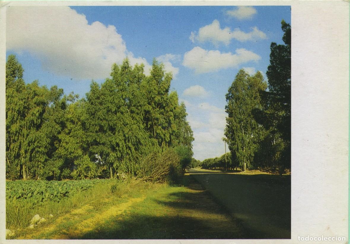 Postales: Escenario natural- Al Zahraa. LIBIA. Sin circular. - Foto 1