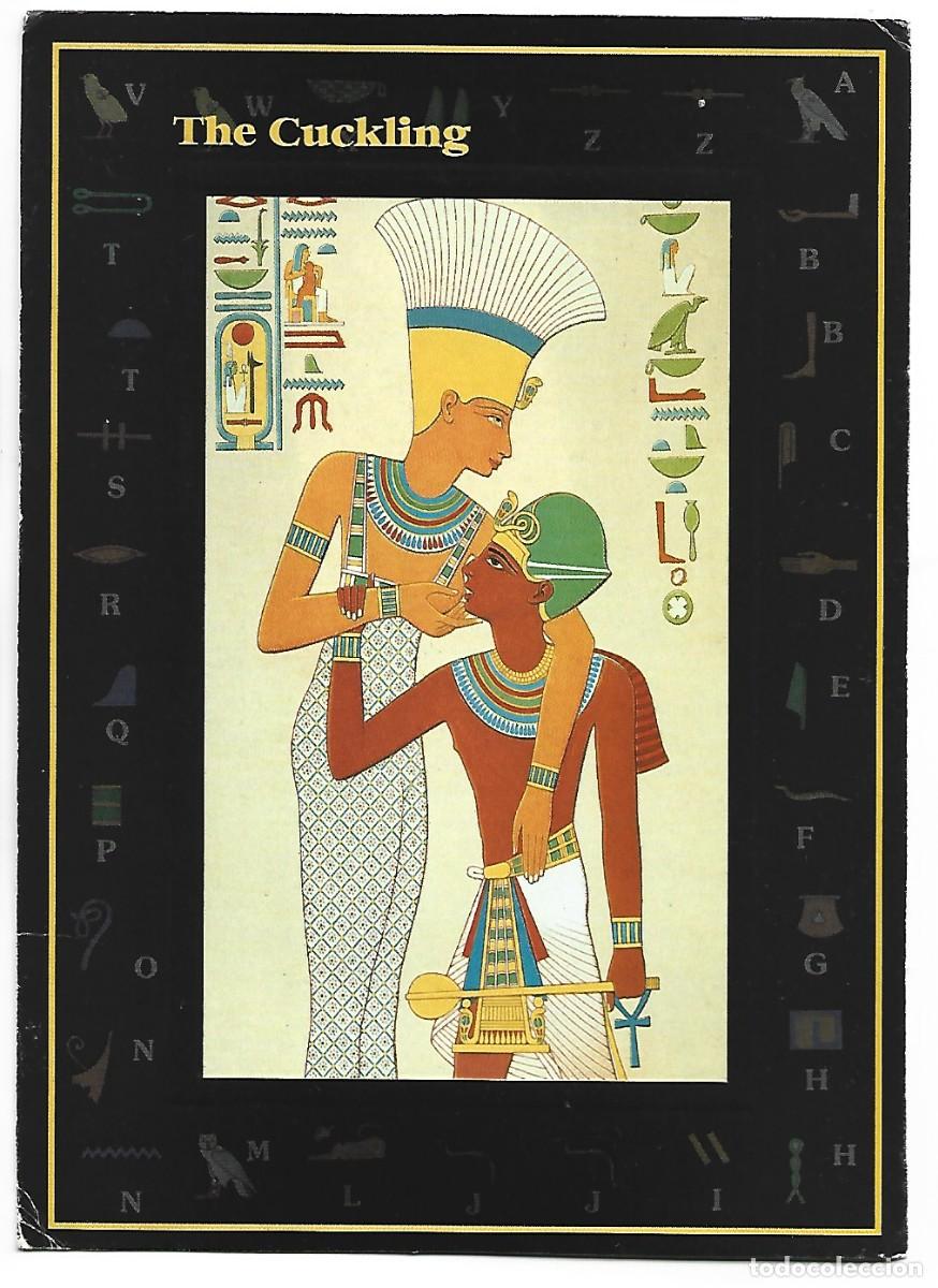 Postales: &rdquo; THE CUCKLING &rdquo;.- EGYPT - Foto 1