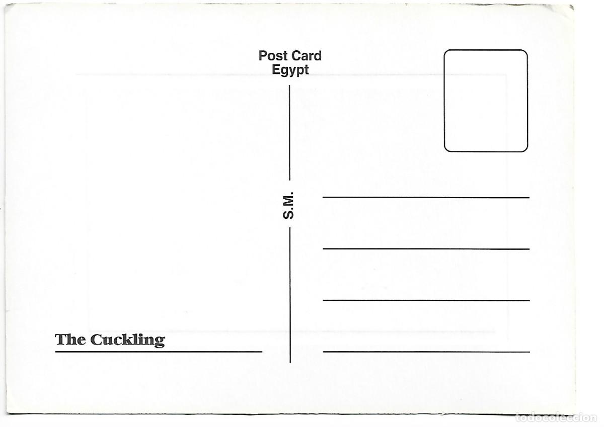 Postales: &rdquo; THE CUCKLING &rdquo;.- EGYPT - Foto 2