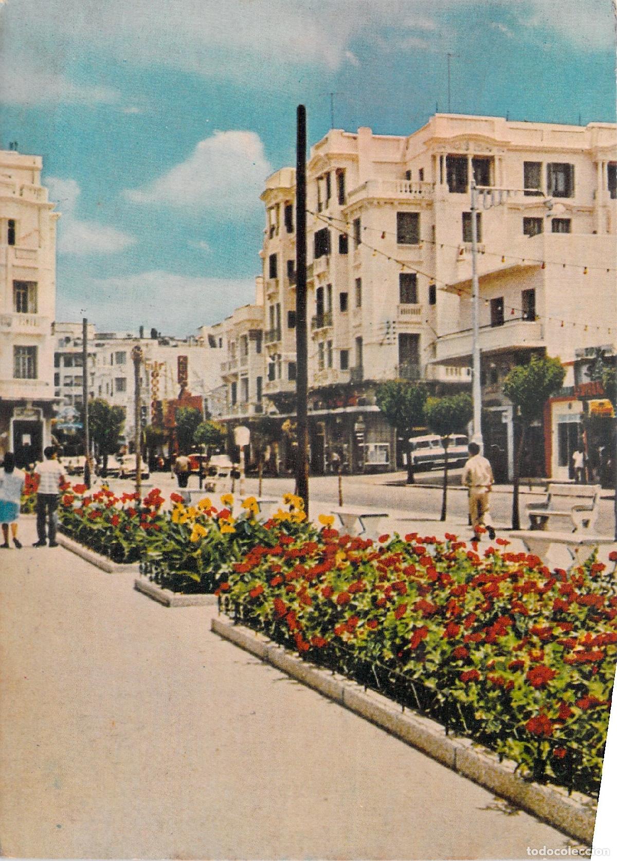Postales: Postal T&aacute;nger, Marruecos - Vista del Boulevard Pasteur, Edificios y Flores. - Foto 1