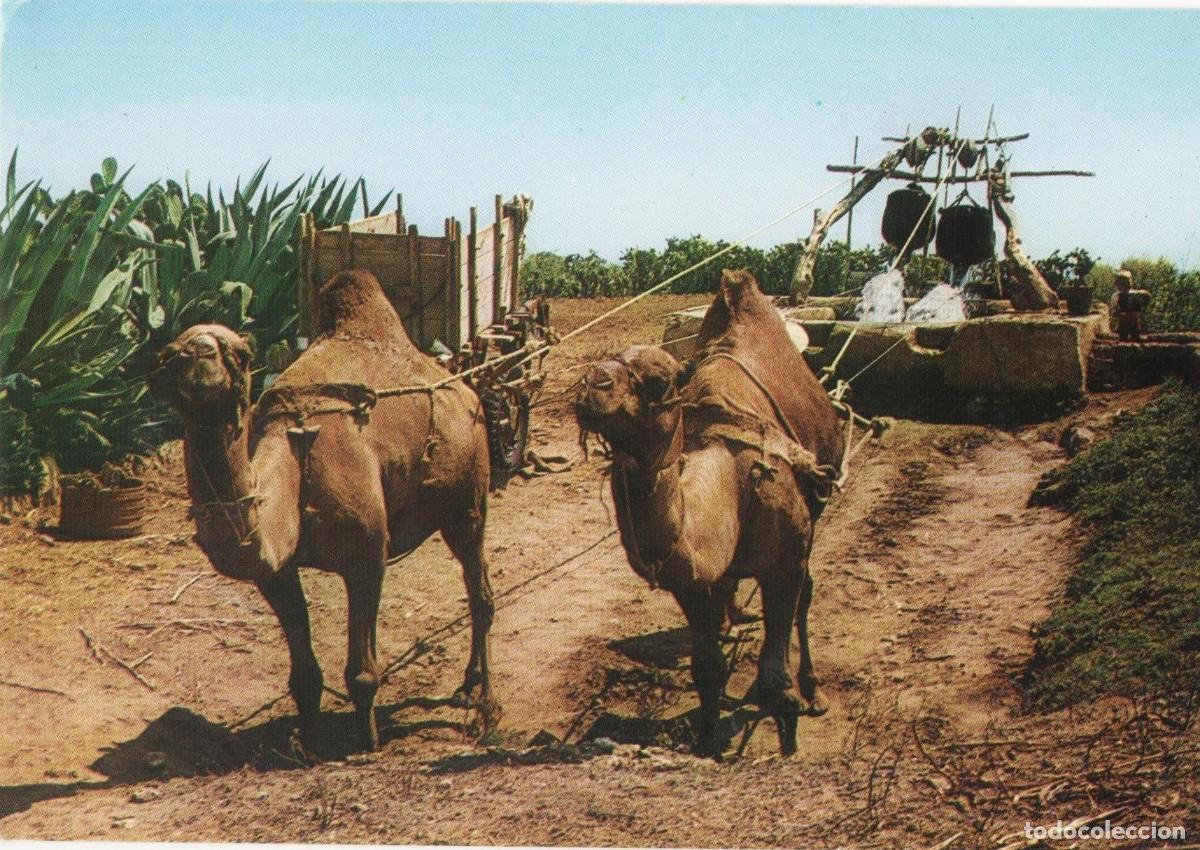 Postales: T&uacute;nez- Sur de T&uacute;nez-circulada- - Foto 1