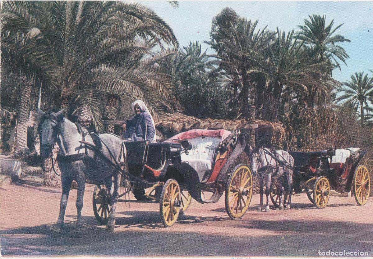 Postales: T&uacute;nez- Gabes-sin circular - Foto 1
