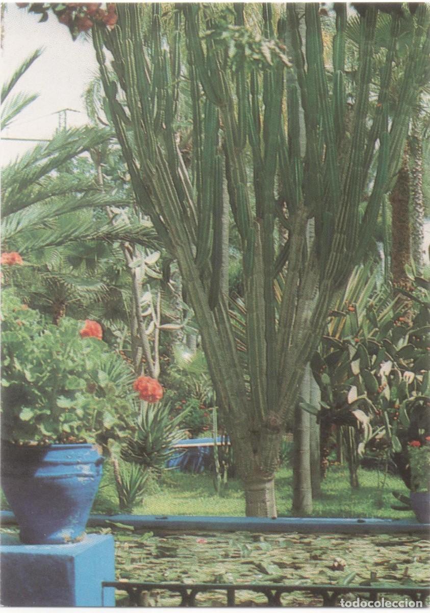 Postales: Marruecos- Marrakech-sin circular - Foto 1