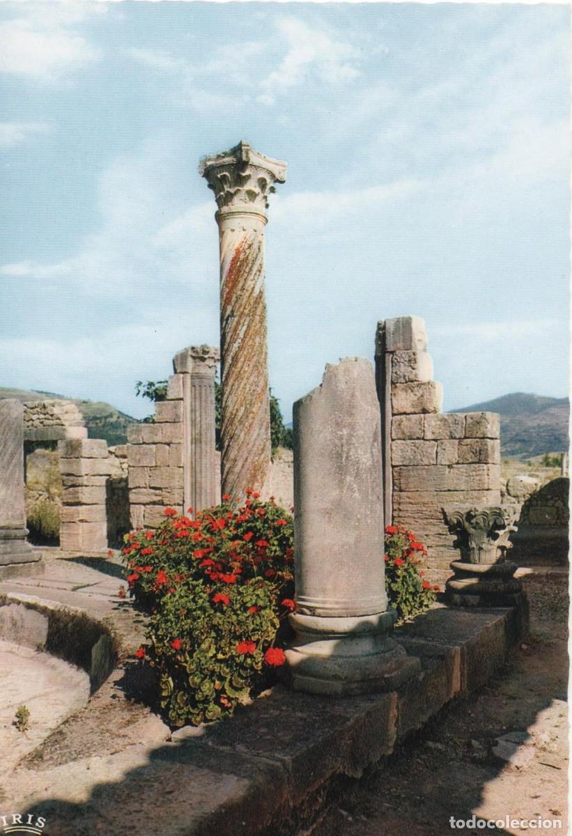 Postales: Marruecos- Volubilis-sin circular- - Foto 1
